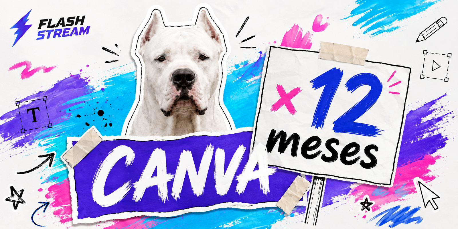 CANVA X 12 MESES
